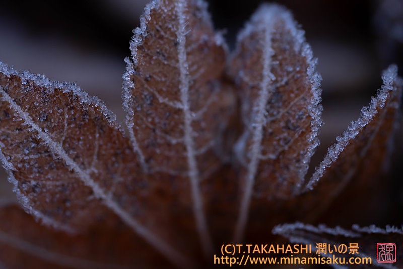 ../Images/7R251130 (29).jpg